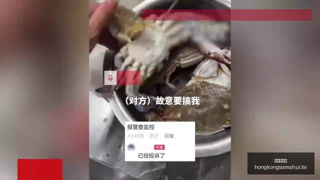 英雄联盟,冠军荣耀,品牌赞助见,香港赛马会,赛程安排,赛果查询,马匹资料,比赛分析